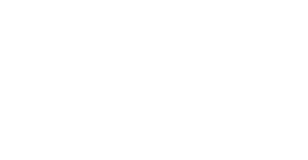 Gemini19 By Ghiz